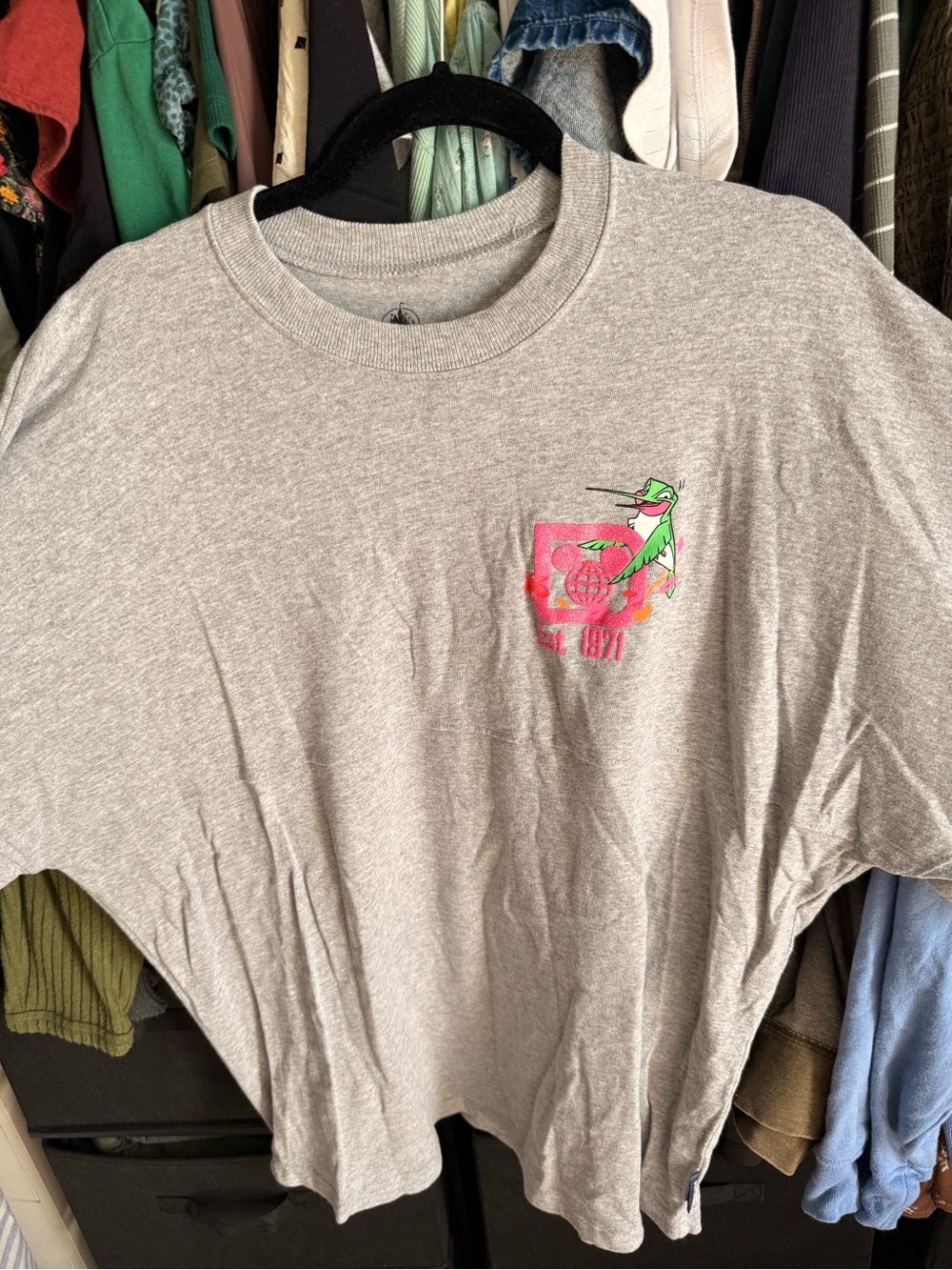 Disneyworld Animals Spirt Jersey